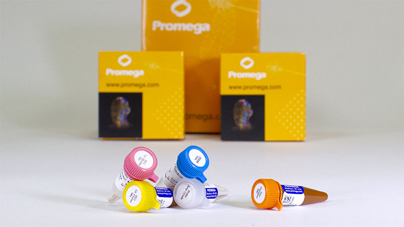 md2140-oncomate-msi-dx-analysis-system