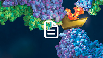 Article: Bioassays Power Combination Immunotherapy