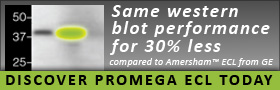 ECL-banner-280x90