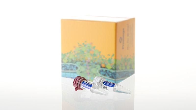 DC9271_PunchSolution--Kit--100-preps_3