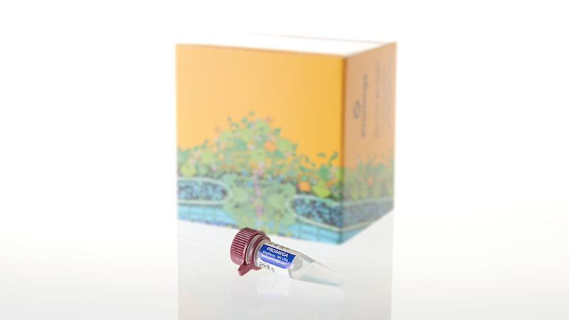 DM1231_5X-AmpSolution--Reagent--500ul_3