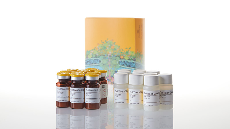 G7571_CellTiter-Glo--Luminescent-Cell-Viabil_3