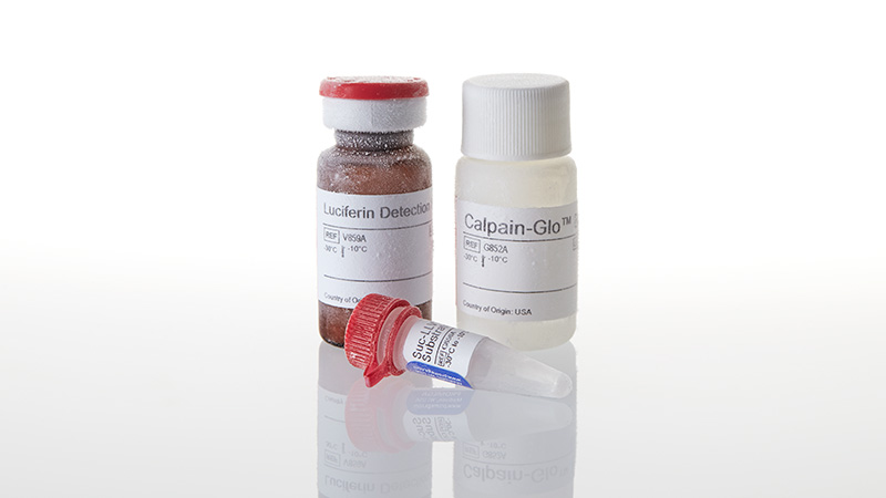 G8501_Calpain-Glo--Protease-Assay-10ml_3