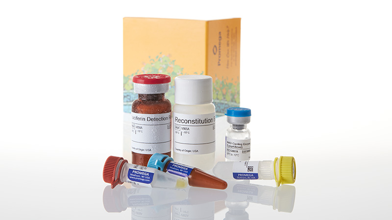 G9071_NAD-NADH-Glo-Assay_3