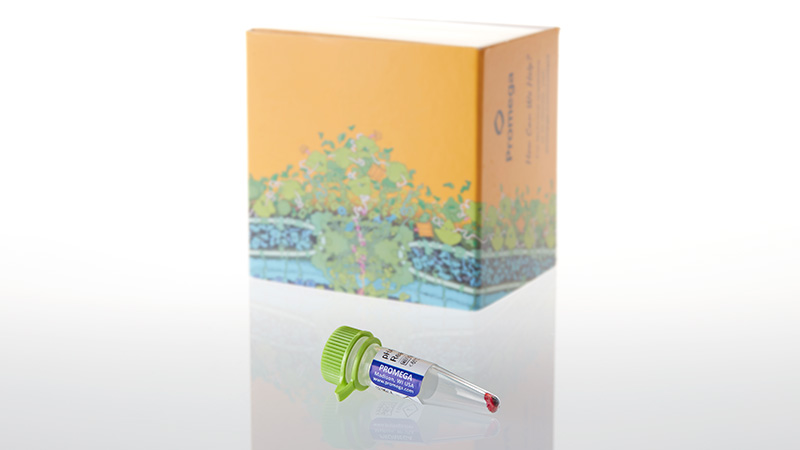 G9841__pHAb Amine Reactive Dye-250ul_3