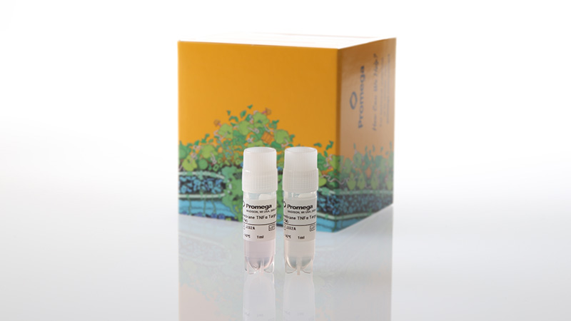 j3322membranetnfatargetcellspropagationmodel3