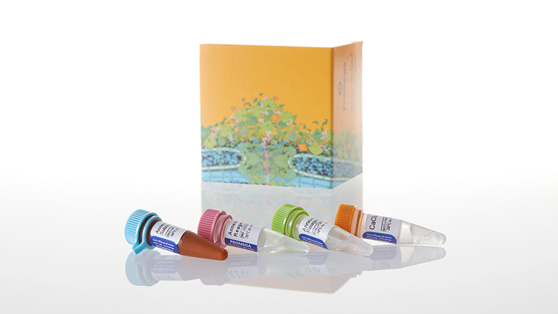 JA1001_RealTime-Glo--Annexin-V-Apopt-Asy-1000As_3