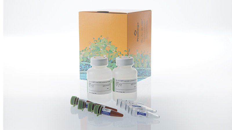 jb1203-bio-glo-nb-vlp-luciferase-assay-system-3