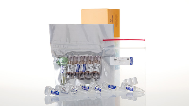 L4540_Flexi Rabbit Reticulocyte Lysate System_3