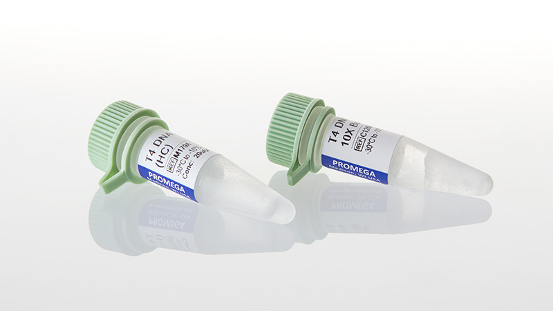 M1794_T4-DNA-Ligase--HC---500u_3