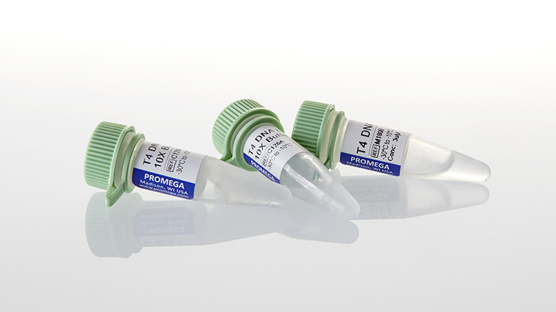 M1804_T4-DNA-Ligase--500u_3