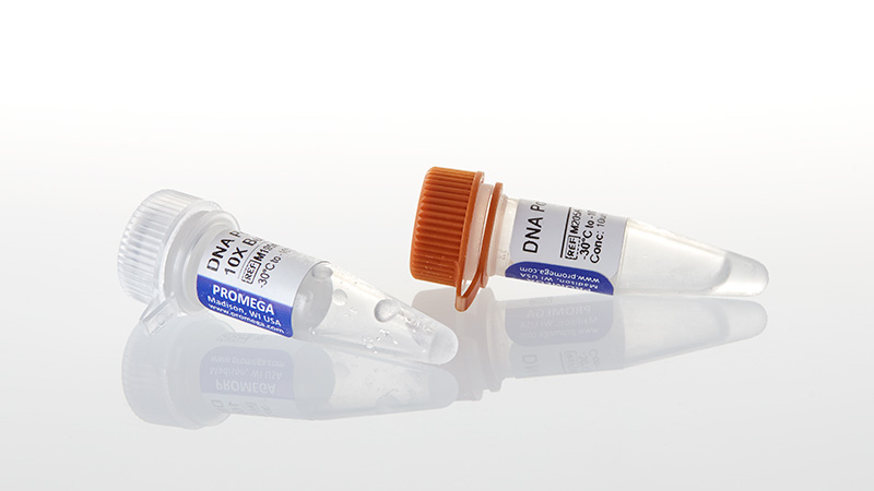 M2051_DNA-Polymerase-I--500u_3