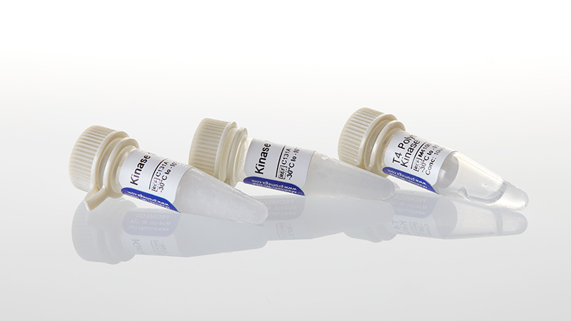 M4103_T4-Polynucleotide-Kinase--1-000u_3