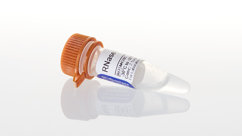 M4285_RNase-H--250u_3