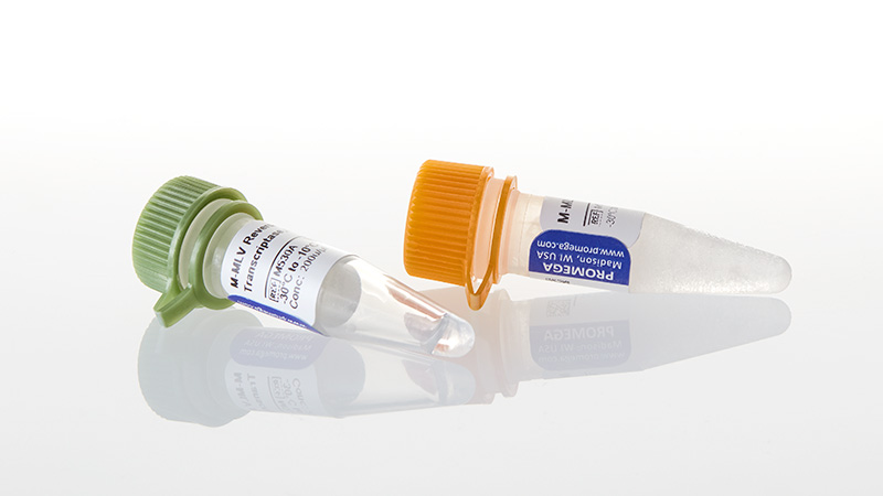 M5301_M-MLV-Reverse-Transcriptase--RNase--H--_3