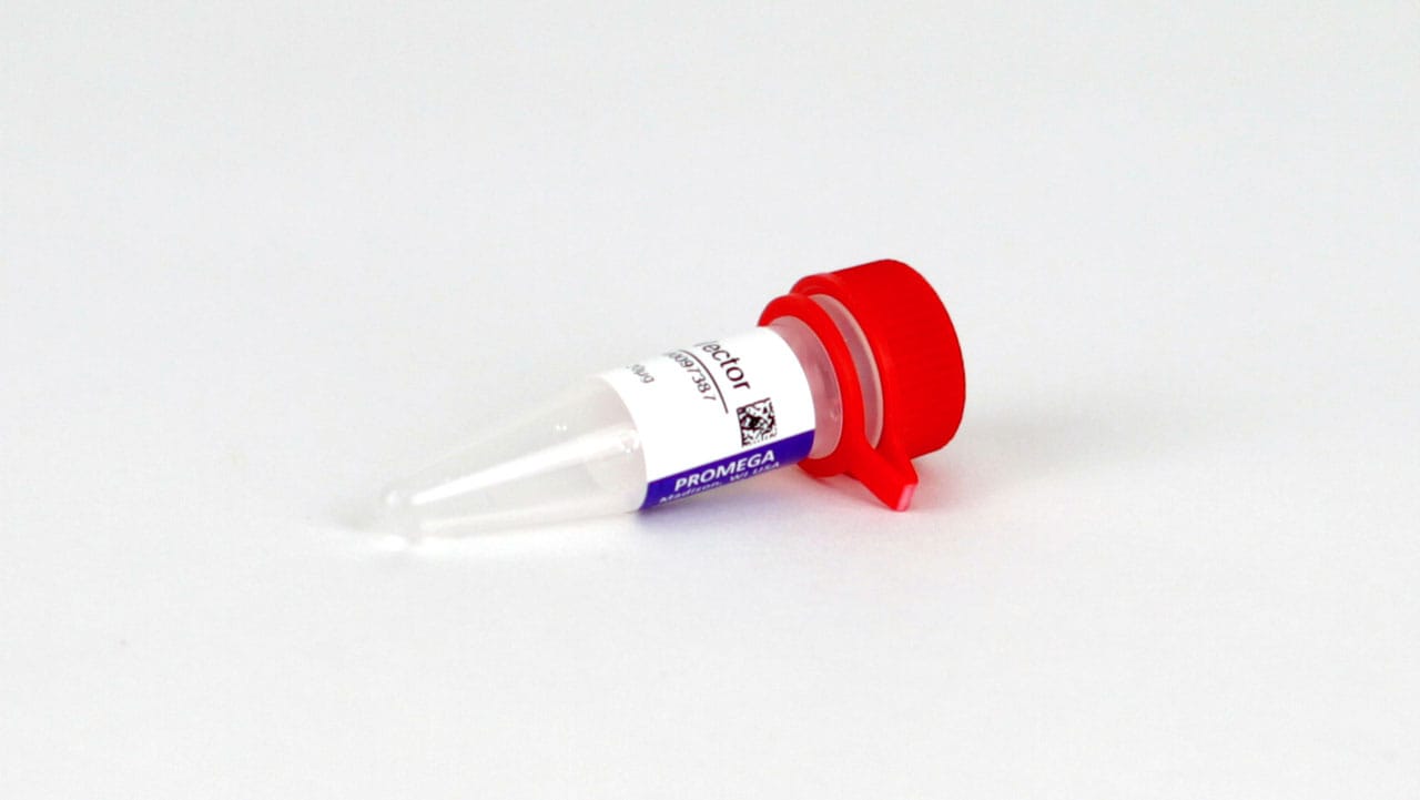 N1491