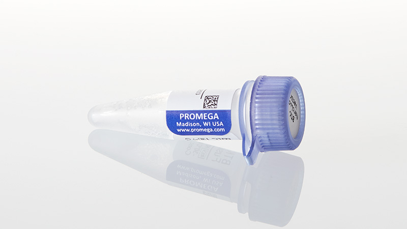 N2441_BTK-NanoLuc--Fusion-Vector-20ug_3