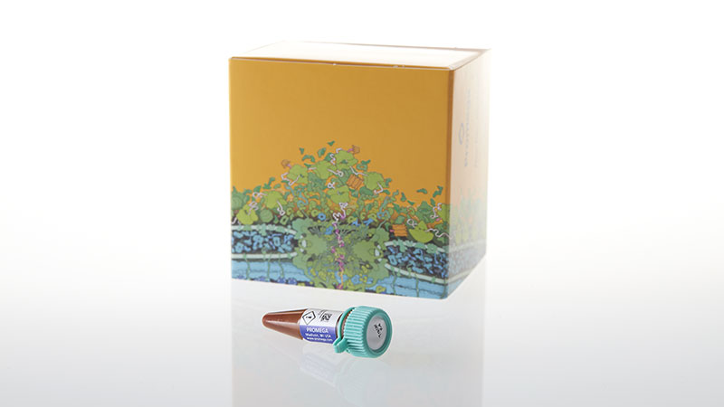 N2482_NanoBRETTM-Tracer-K-5--550ul_3