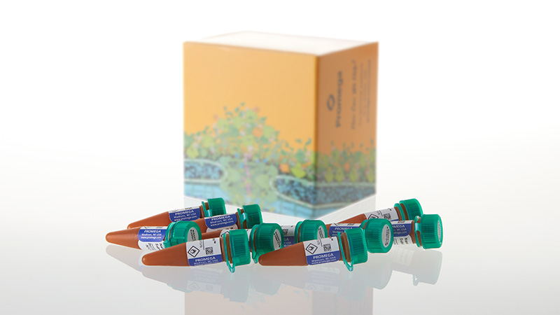 N2572_Nano-Glo--Endurazine--Live-Cell-Substrate_3