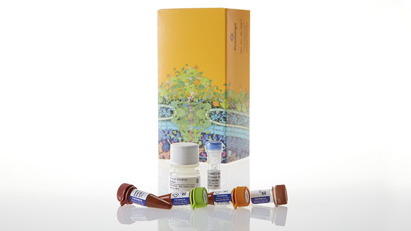 N2640_NanoBRETTM-TE-Intracellular-Kinase-Assay--K-10--100-assays_3