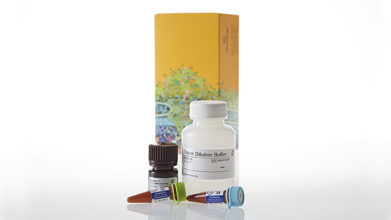 N2820_NanoBRETTM-TE-Intracellular-Kinase-Detection-Reagent--K-8--10-000-assays_3