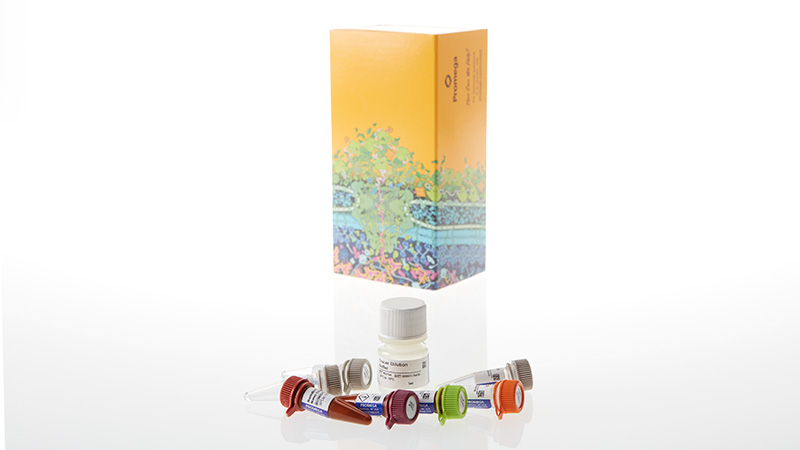 N2911_NanoBRET--TE-Intracellular-E3-Ligase-Assay--CRBN_3