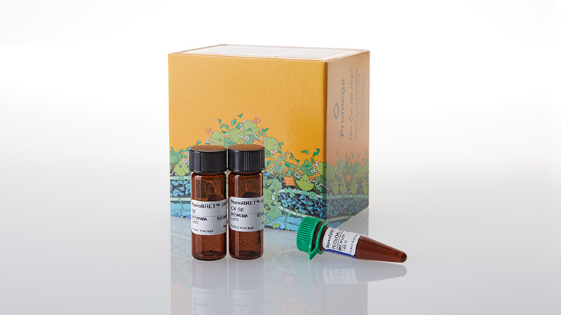 NanoBRET™ 590 SE Bundle