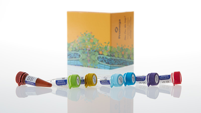 ND2700_NanoBRET--VHL-Ternary-Complex-Starter-Kit_3