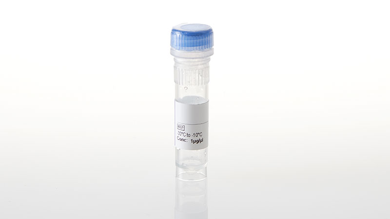 NV4521_TYK2-JH1 domain--NanoLuc- Fusion Vector- 20ug