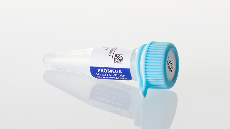 P2241_pGEM--5Zf----Vector--20ug_3