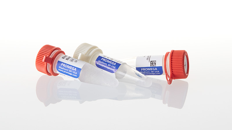 R7103_SgfI-GQ--250u_3