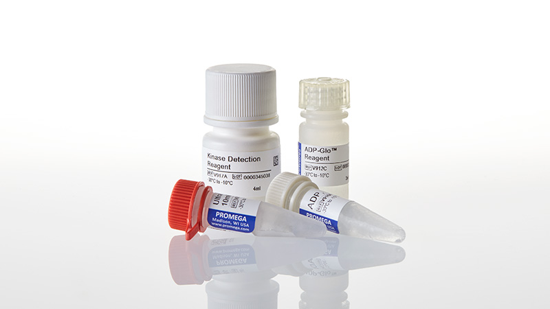 V6930_ADP-Glo--Kinase-Assay--400-Assays_3