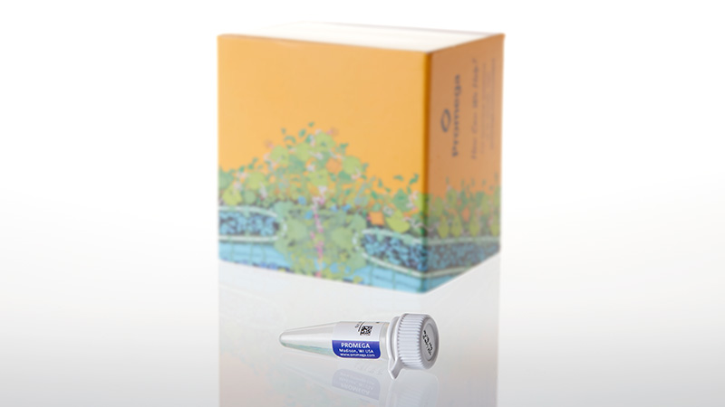 VA1010_AccuMAP-10X-Low-pH-Reaction-Buffer