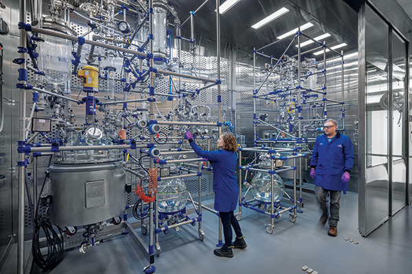 promega focus on gmp