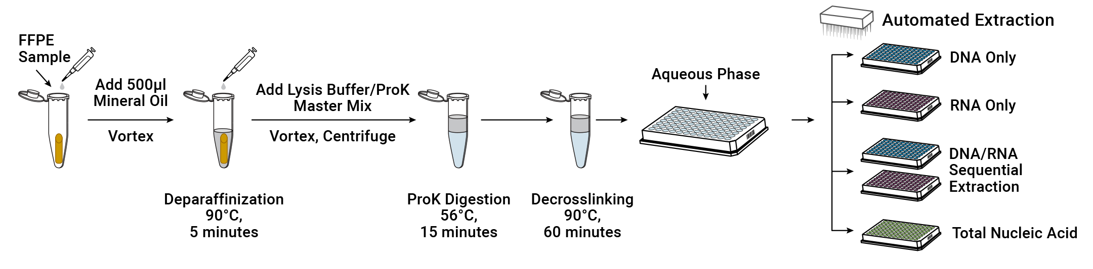 Illustration depicting the Maxwell® HT XtractAll FFPE DNA/RNA Kit workflows.
