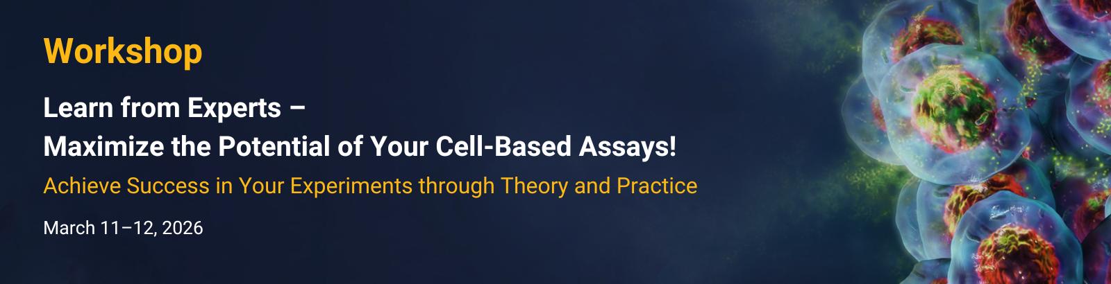 2025-de-workshop-productpage-banner-1600x410-en