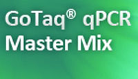 IT_GoTaq_qPCR