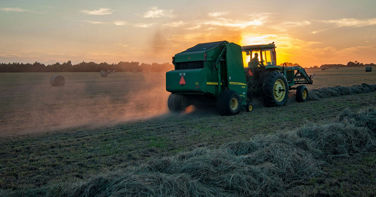 Promega Lab Blog - Boom demografico e crisi della catena alimentare: come le biotecnologie sostengono l'agricoltura 1