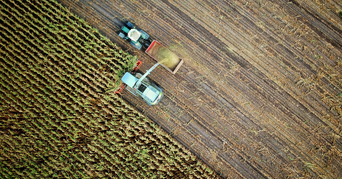 Promega Lab Blog - Boom demografico e crisi della catena alimentare: come le biotecnologie sostengono l'agricoltura 2