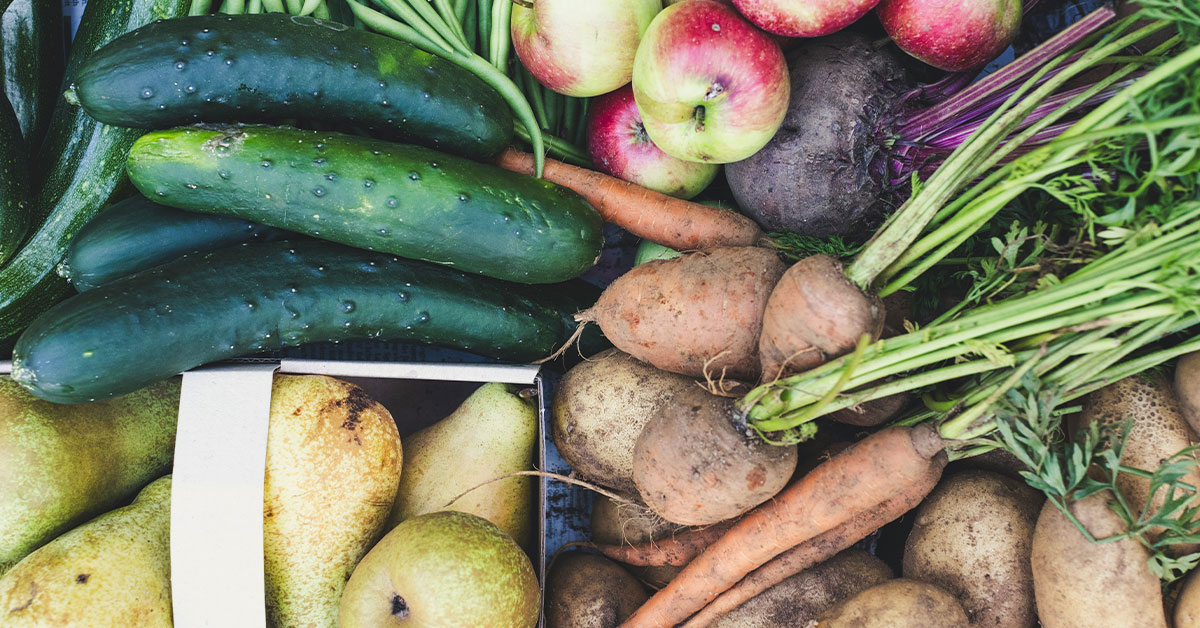 Promega Lab Blog - Boom demografico e crisi della catena alimentare: come le biotecnologie sostengono l'agricoltura 3