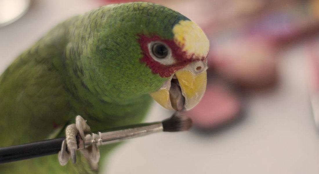 Promega-LabBlog-Alternative-Test-Animali2