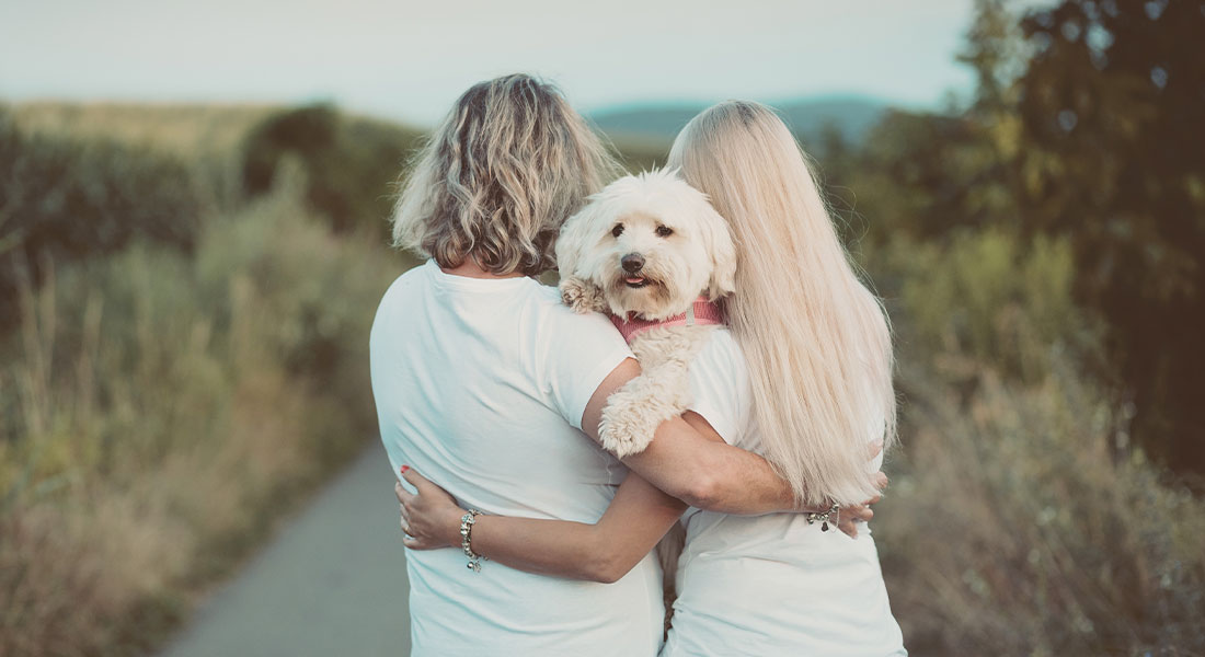 Promega LabBlog - Non solo amore: i benefici emotivi e fisici degli animali domestici 1