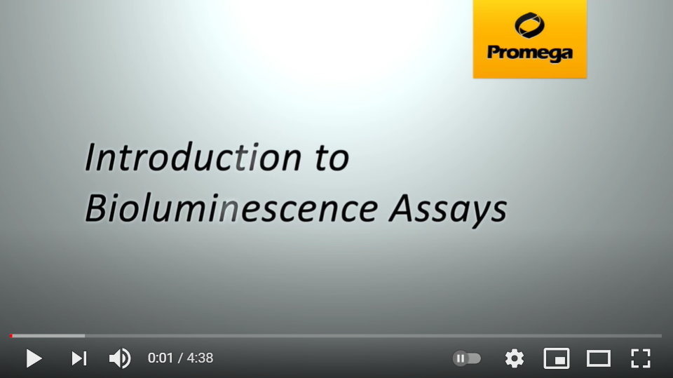 Promega-Lab-Blog-Bioluminescenza-Biotecnologia-Parte2-Video2