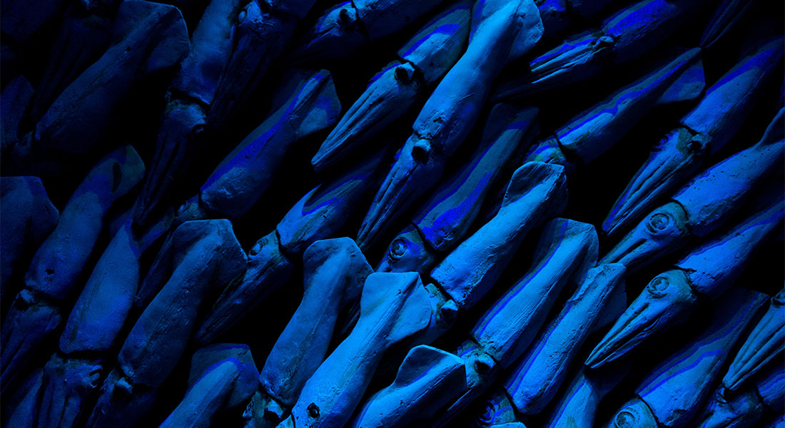 Promega - Squid Games: mimetizzazione, comunicazione e difesa, le capacità bioluminescenti dei calamari 3