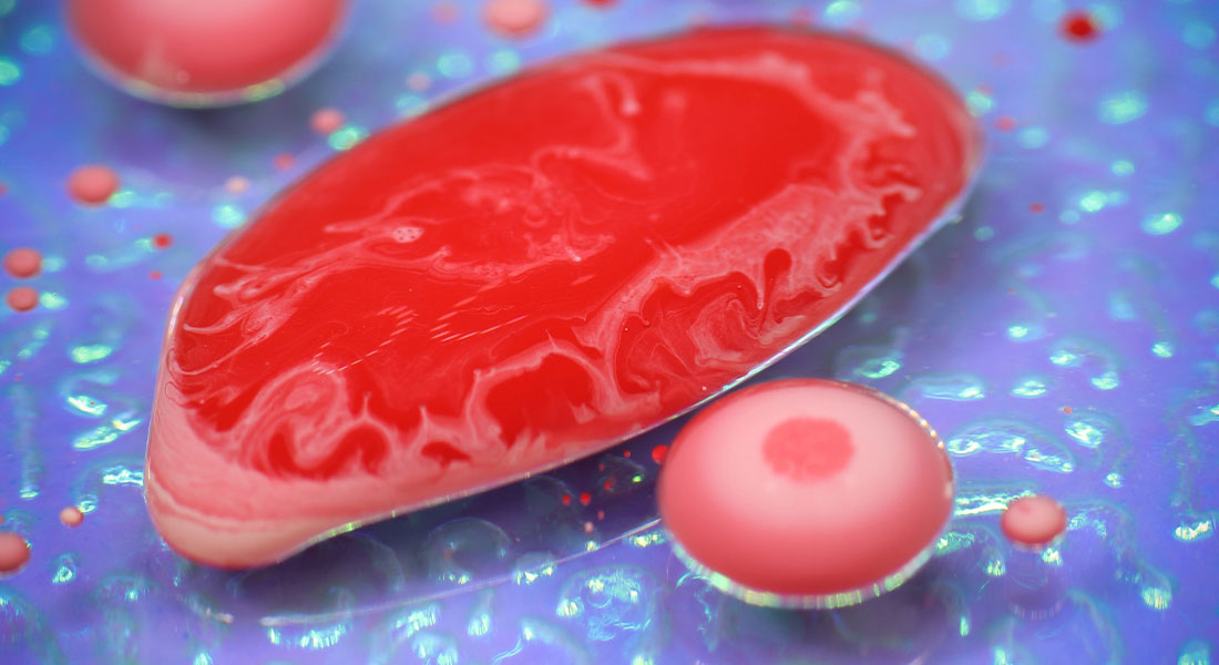 Promega - la carne coltivata può aiutare a combattere la crisi alimentare 1