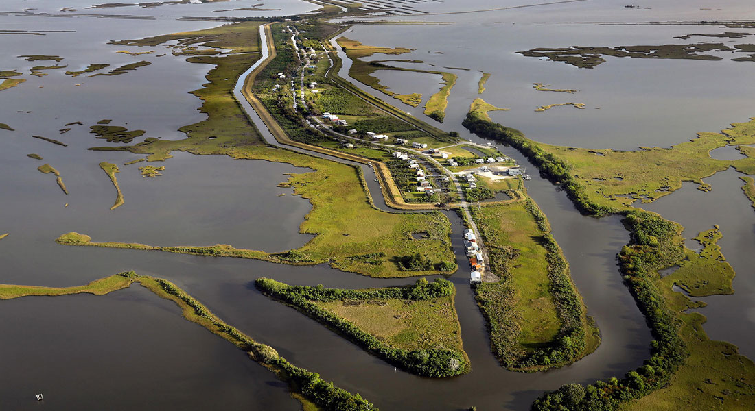 Promega LabBlog - Isle de Jean Charles, l'isola che non c'è più: come il cambiamento climatico ha già eroso le nostre comunità 1