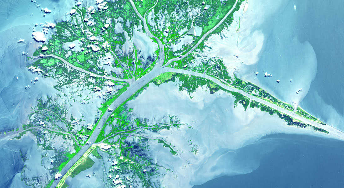 Promega LabBlog - Isle de Jean Charles, l'isola che non c'è più: come il cambiamento climatico ha già eroso le nostre comunità 2