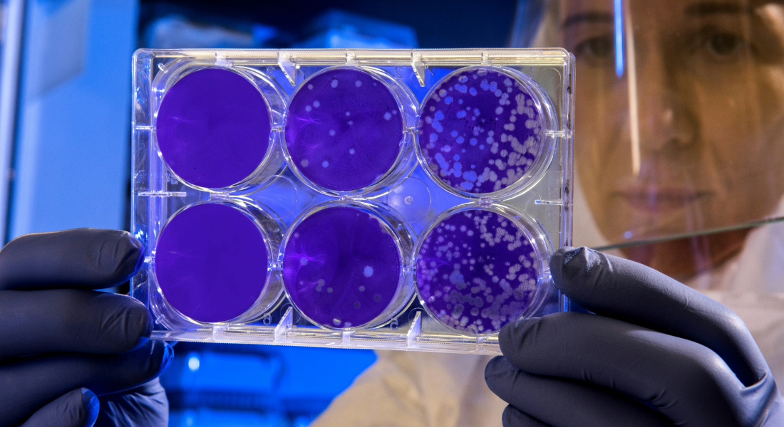 Lab Blog - Charged Molecular Glues: il cavallo di Troia molecolare che elude la membrana cellulare 1