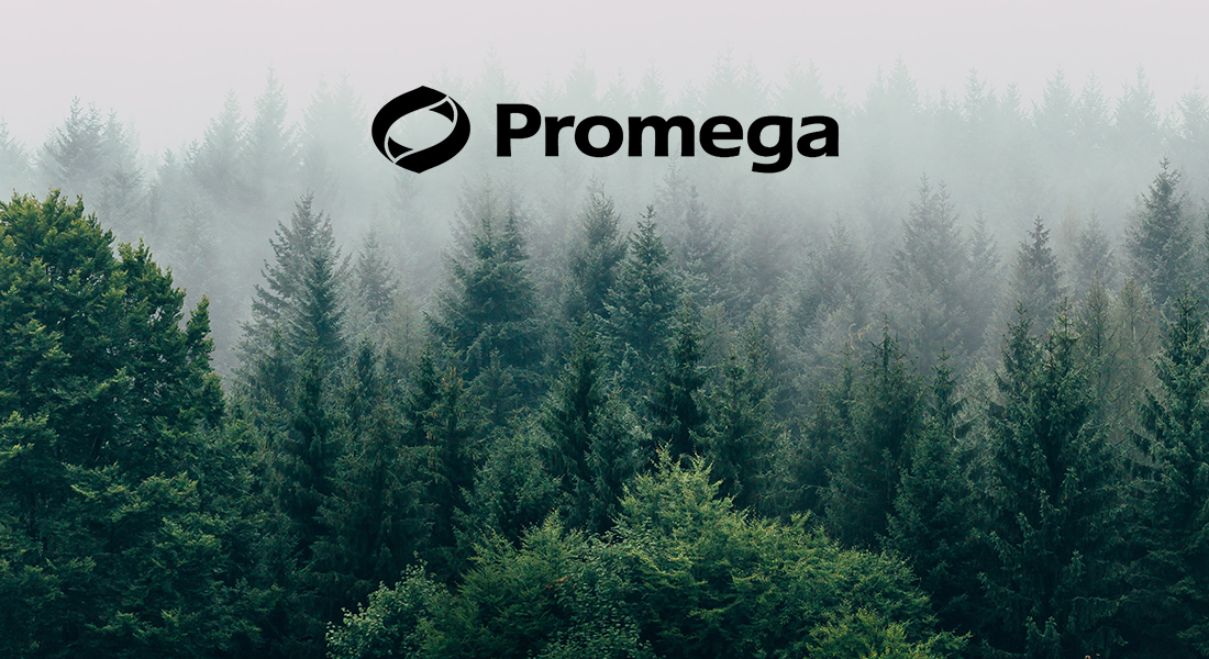 blog-deforestazione3