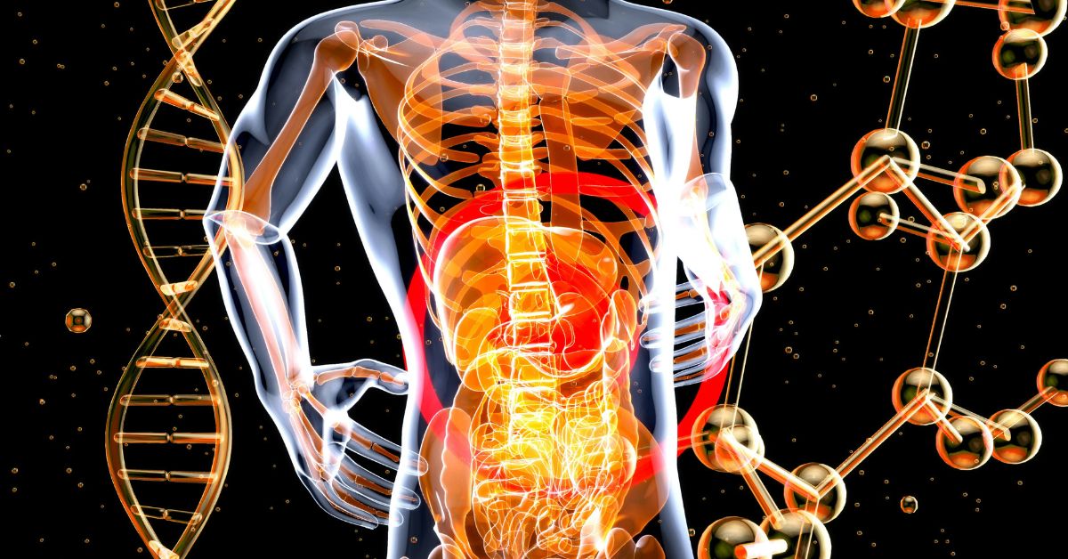 Promega Lab Blog - Comprendere i disturbi digestivi con la Multiplex PCR in Real-Time 1